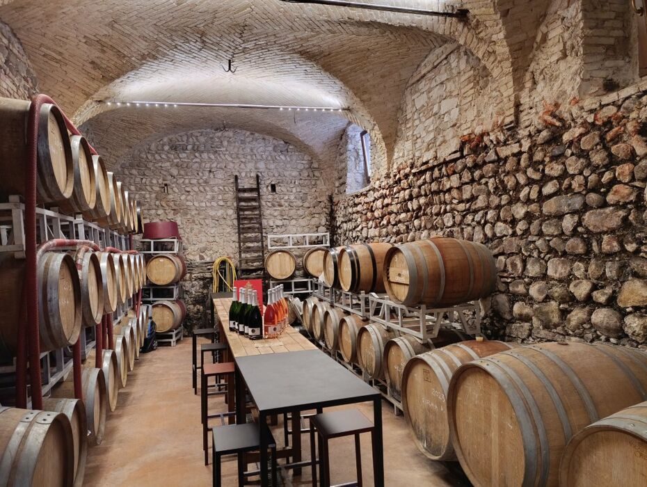 Da Cisano a Lazise: passeggiata sul lago, storia e degustazione Da Cisano a Lazise: passeggiata sul lago, storia e degustazione desktop picture