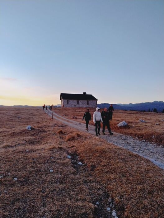L’Aquila Vaia e la rinascita della foresta in Marcesina L’Aquila Vaia e la rinascita della foresta in Marcesina desktop picture