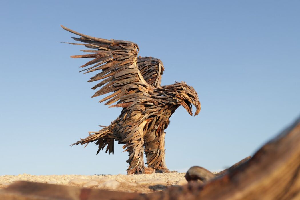 L’Aquila Vaia e la rinascita della foresta in Marcesina L’Aquila Vaia e la rinascita della foresta in Marcesina desktop picture