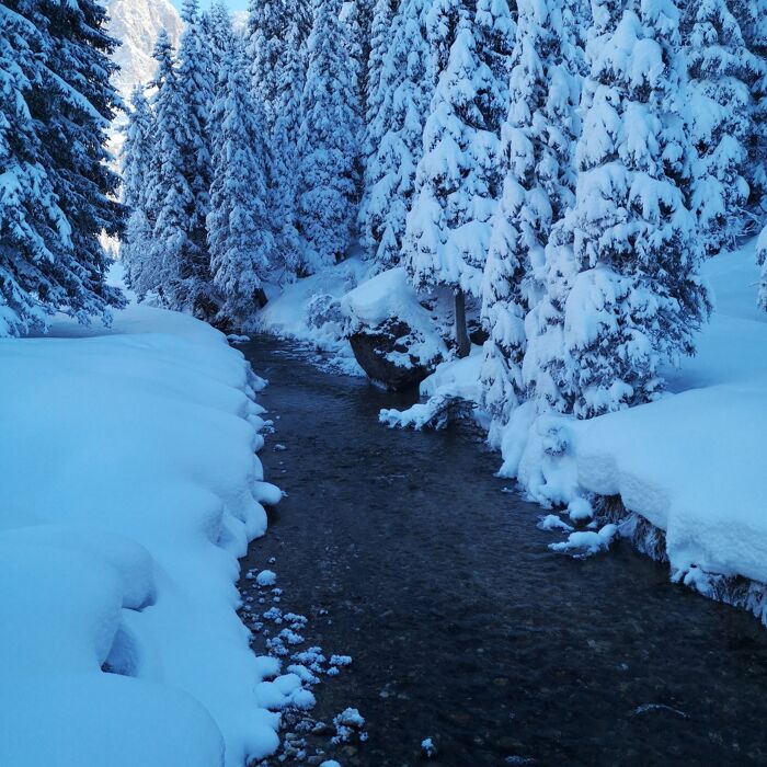 Ciaspolata in 𝑽𝑨𝑳 𝑽𝙀𝑵𝑬𝑮𝑰𝑨 Ciaspolata in 𝑽𝑨𝑳 𝑽𝙀𝑵𝑬𝑮𝑰𝑨 desktop picture