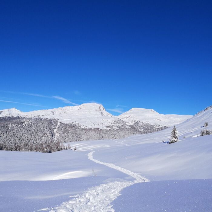 Ciaspolata in 𝑽𝑨𝑳 𝑽𝙀𝑵𝑬𝑮𝑰𝑨 Ciaspolata in 𝑽𝑨𝑳 𝑽𝙀𝑵𝑬𝑮𝑰𝑨 desktop picture