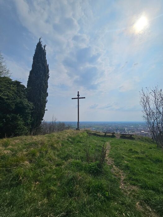 Tra castelli e ciliegi: escursione sulle colline di Marostica Tra castelli e ciliegi: escursione sulle colline di Marostica desktop picture