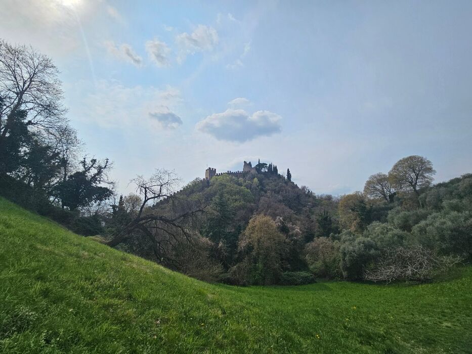 Tra castelli e ciliegi: escursione sulle colline di Marostica Tra castelli e ciliegi: escursione sulle colline di Marostica desktop picture