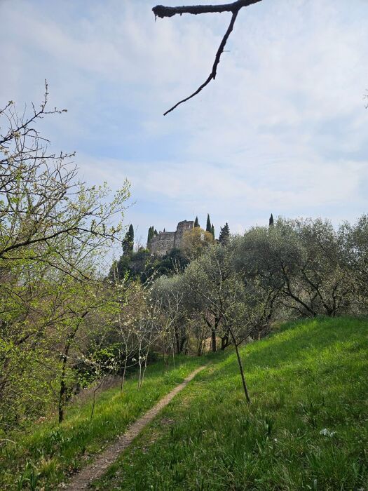Tra castelli e ciliegi: escursione sulle colline di Marostica Tra castelli e ciliegi: escursione sulle colline di Marostica desktop picture