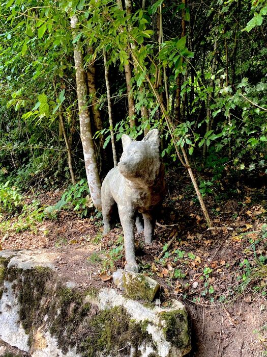 Sentiero delle sculture a Claut: facile trekking e pranzo in osteria Sentiero delle sculture a Claut: facile trekking e pranzo in osteria desktop picture