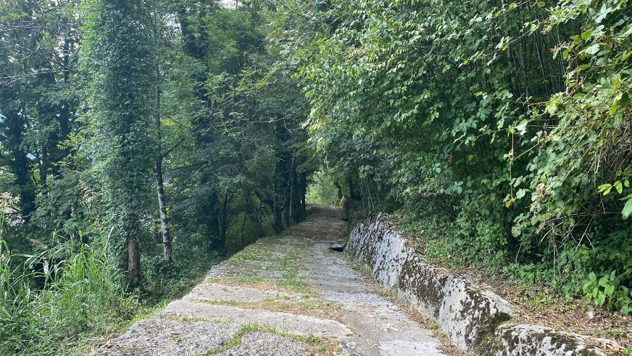 Sentiero delle sculture a Claut: facile trekking e pranzo in osteria Sentiero delle sculture a Claut: facile trekking e pranzo in osteria desktop picture