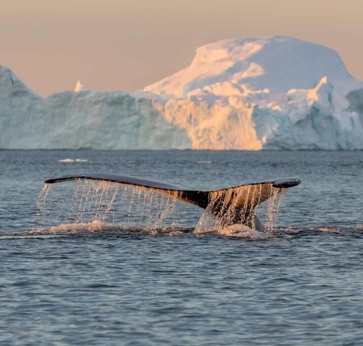 NORVEGIA ONLINE: evento dedicato alle partenze 2026 per la Norvegia! NORVEGIA ONLINE: evento dedicato alle partenze 2026 per la Norvegia! desktop picture