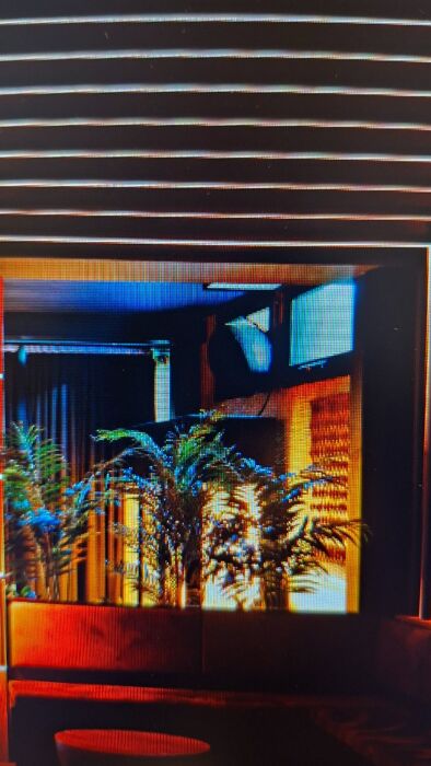 AZHAR DINNER&CLUB AZHAR DINNER&CLUB desktop picture